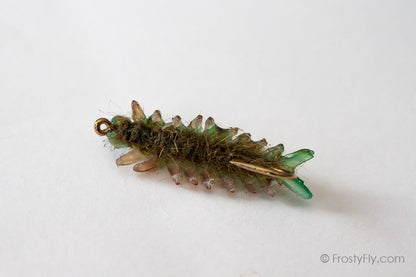 Realistic Sawfly Larva - Olive