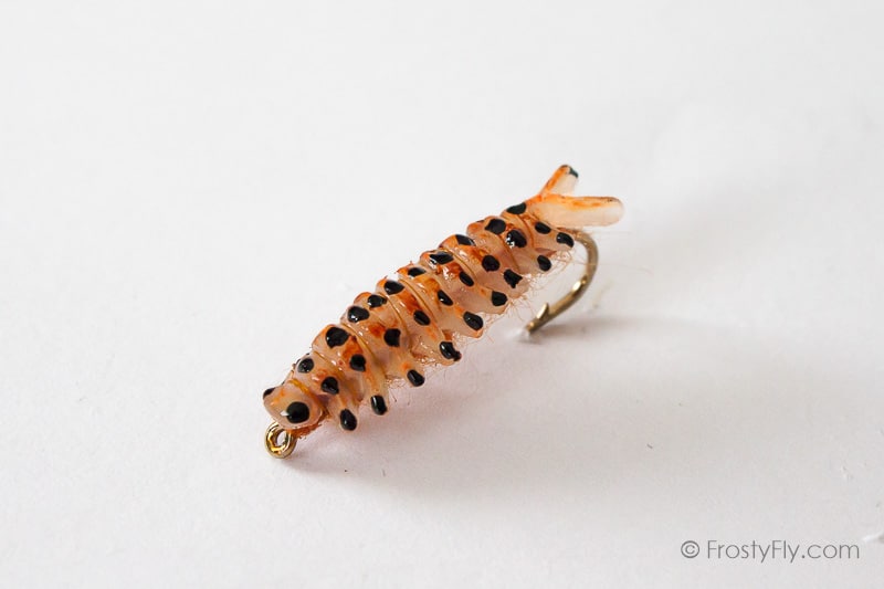 Realistic Sawfly Larva