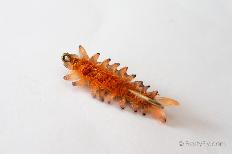 Realistic Sawfly Larva - Orange