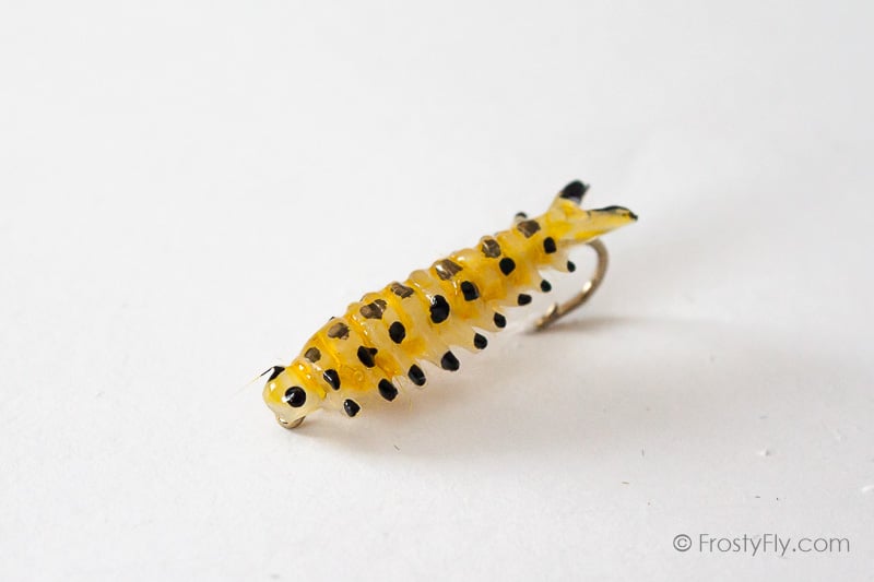 Realistic Sawfly Larva