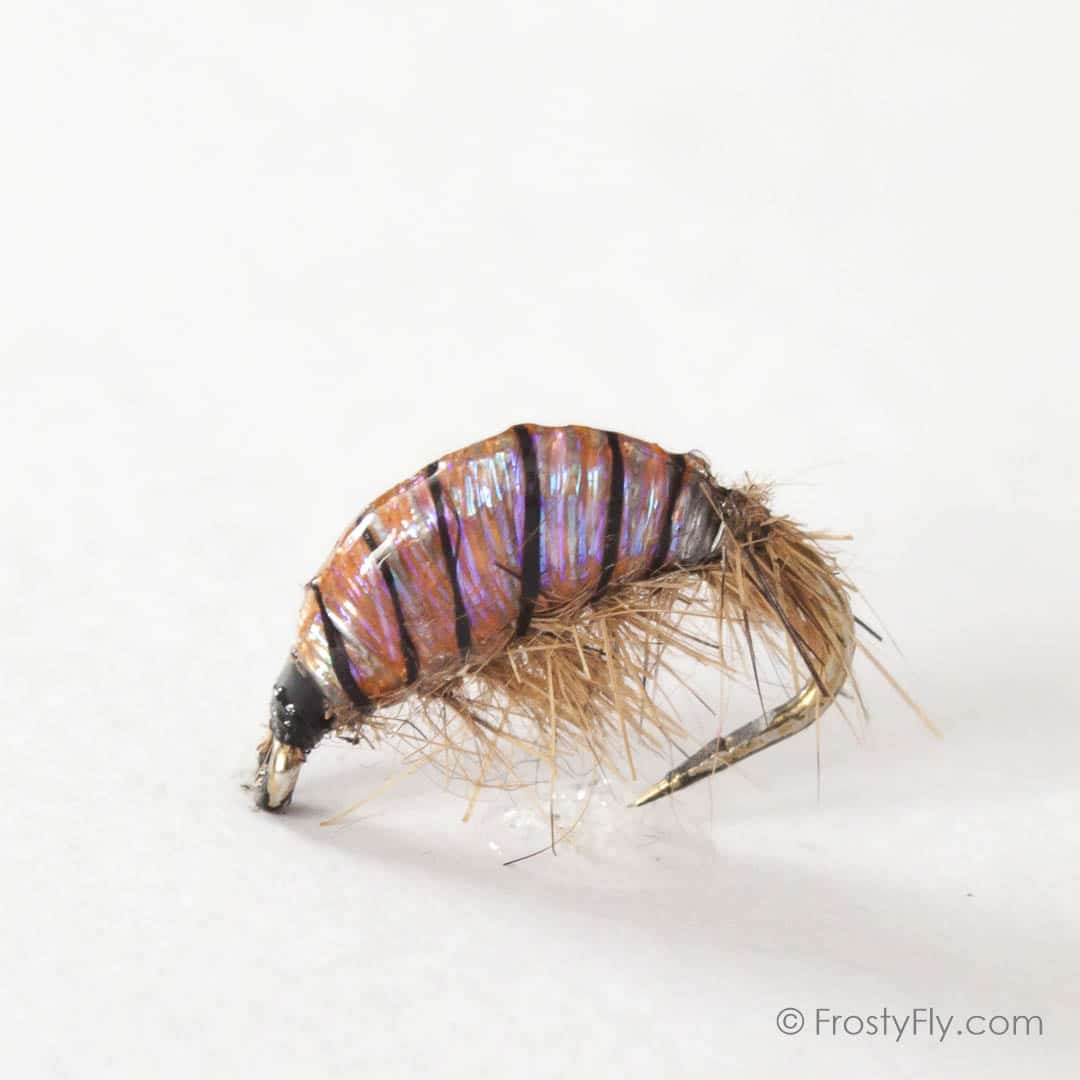 Realistic Scud Fly