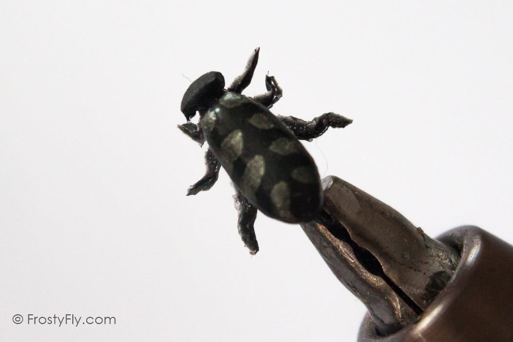 Realistic Silver Beetle Fly
