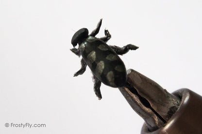 Realistic Silver Beetle Fly
