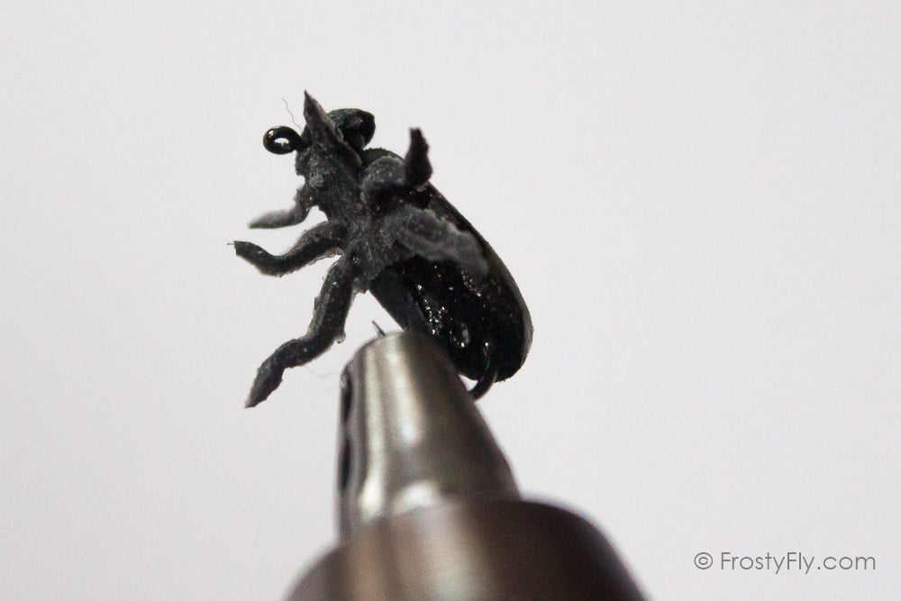 Realistic Silver Beetle Fly