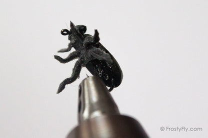 Realistic Silver Beetle Fly