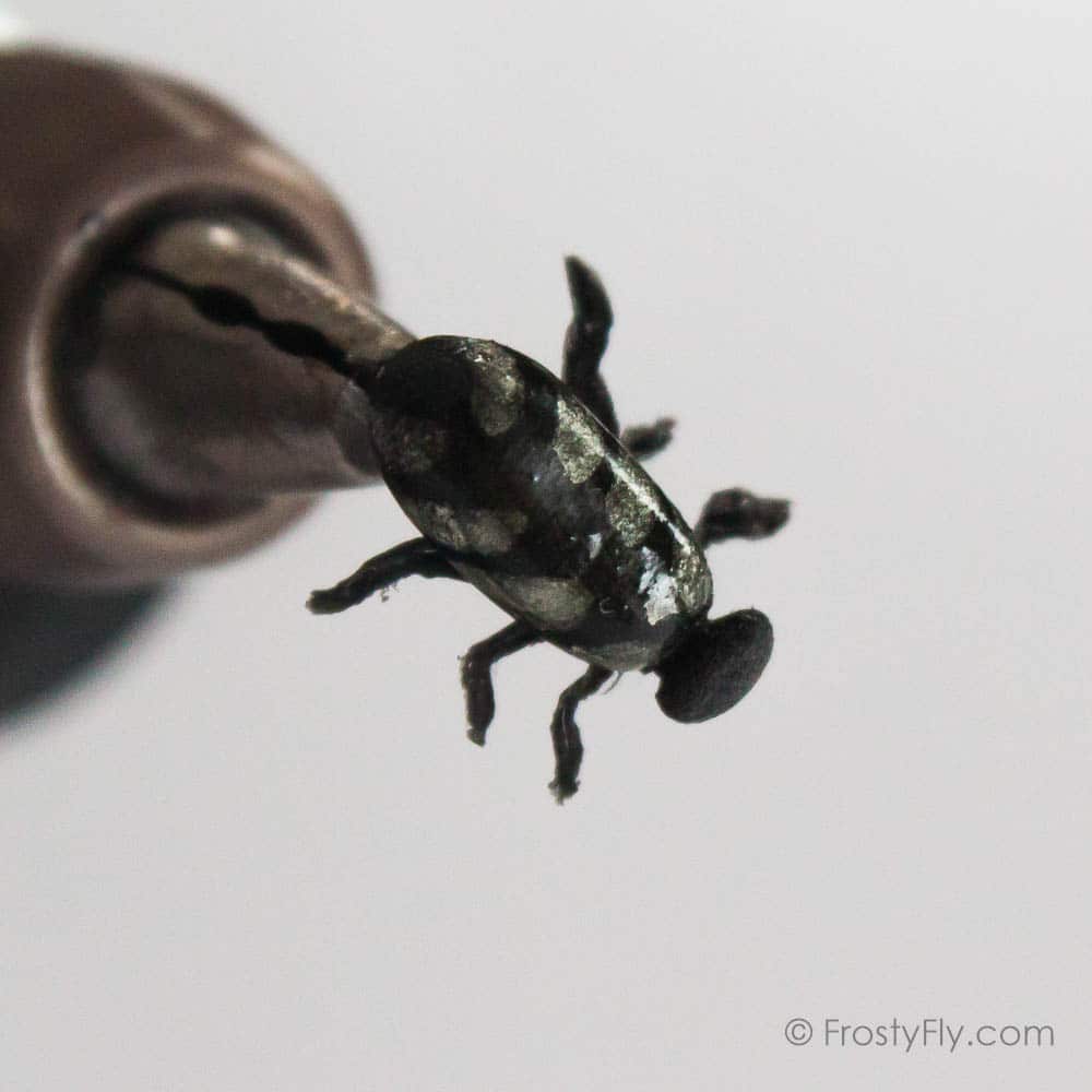 Realistic Silver Beetle Fly – Frosty Fly