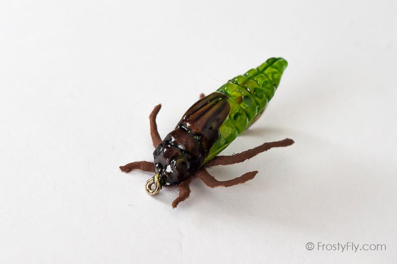 Realistic Skimmer Dragonfly Larvae