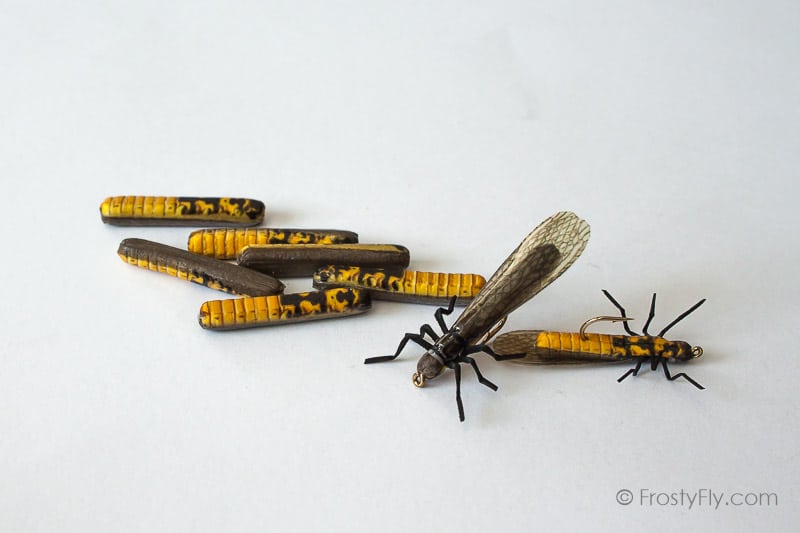 Realistic Stonefly Bodies - European Stonefly