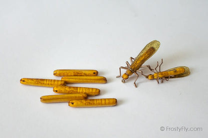 Realistic Stonefly Bodies - Golden Stonefly