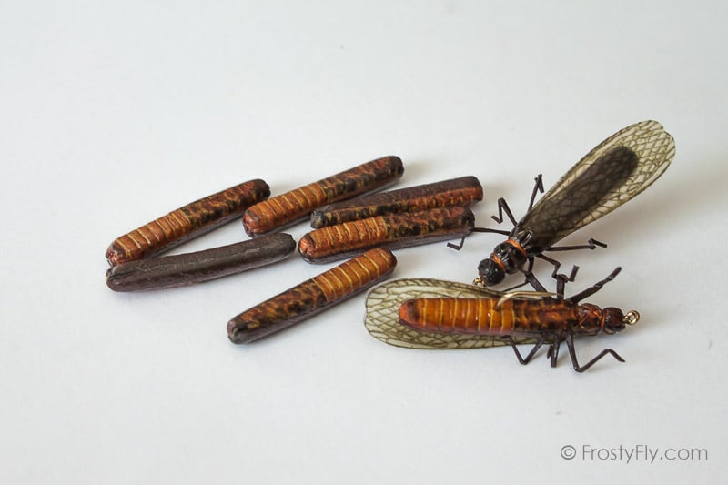 Realistic Stonefly Bodies - Salmonfly
