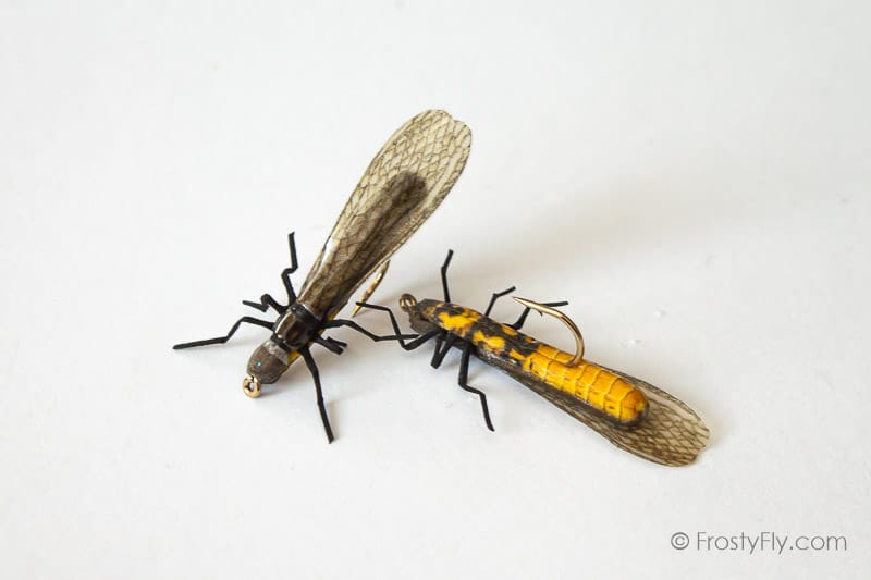 Realistic Stonefly Dry II