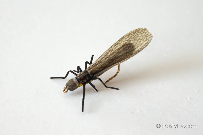 Realistic Stonefly Dry II
