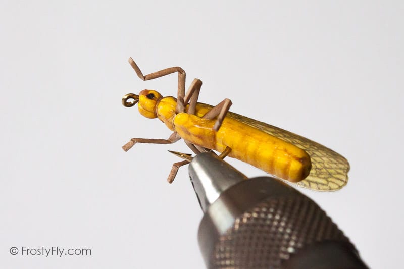 Realistic Stonefly Dry II - Golden