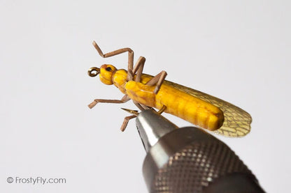 Realistic Stonefly Dry II - Golden