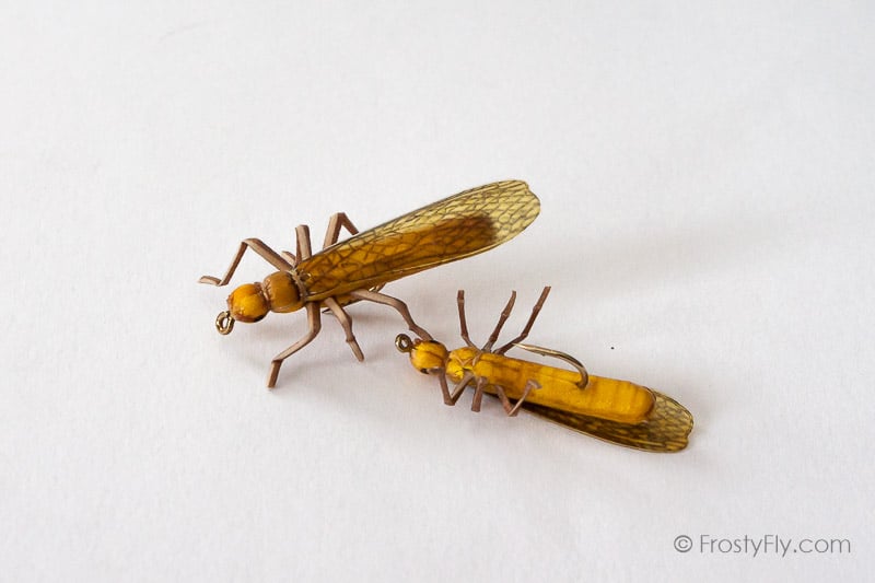 Realistic Stonefly Dry II - Golden