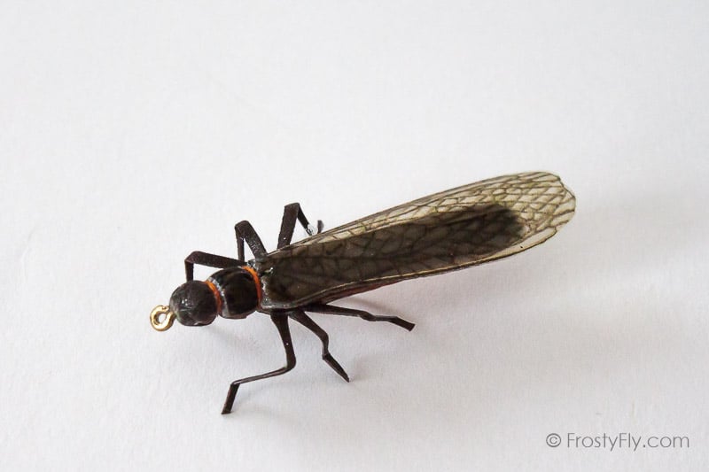 Realistic Stonefly Dry II