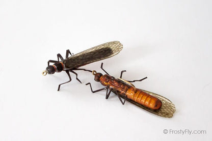Realistic Stonefly Dry II - Salmonfly