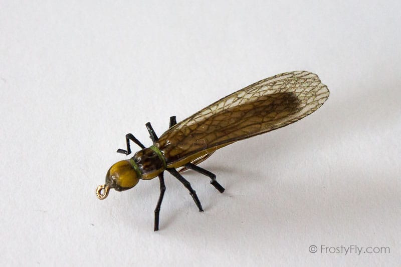 Realistic Stonefly Dry II