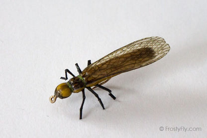Realistic Stonefly Dry II