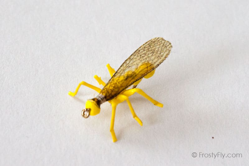 Realistic Stonefly Dry II