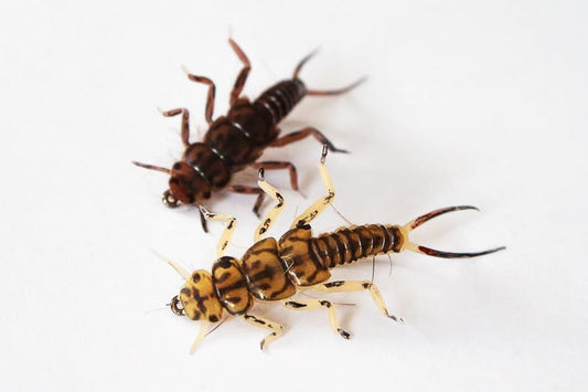 Realistic Stonefly Nymph - Realistic Stonefly Nymph Body