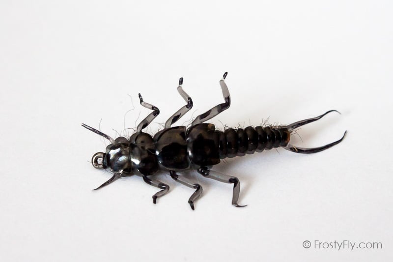 Realistic Stonefly Nymph