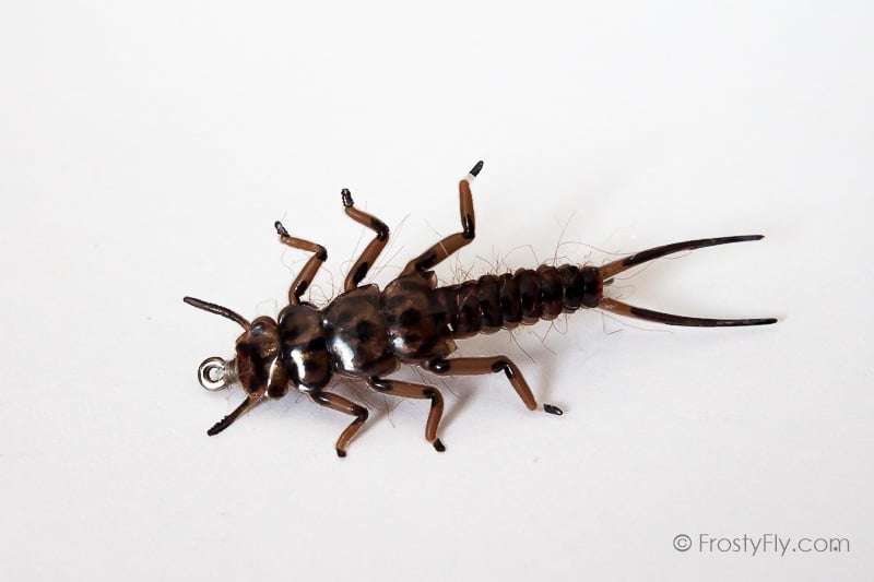 Realistic Stonefly Nymph