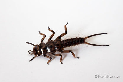 Realistic Stonefly Nymph