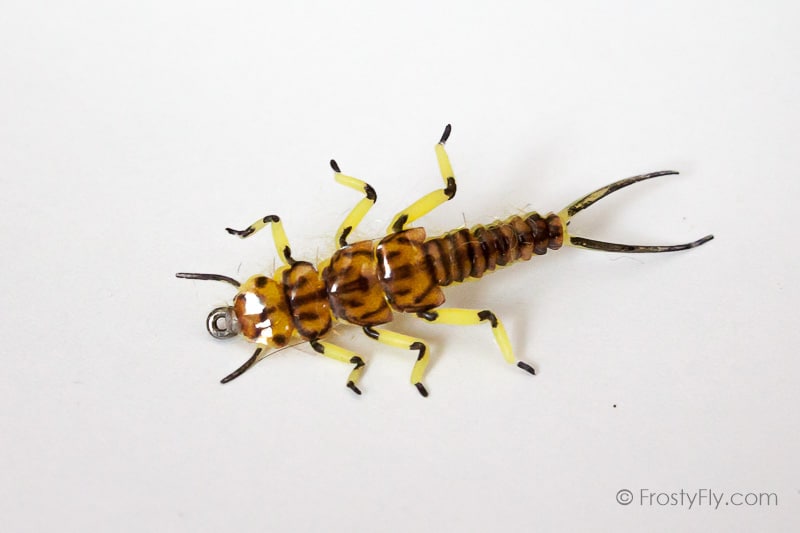 Realistic Stonefly Nymph
