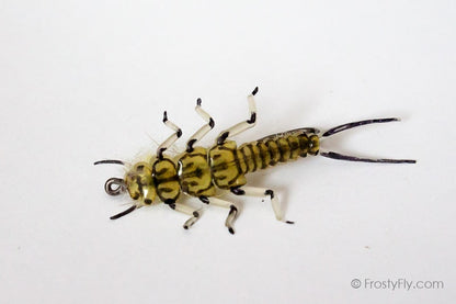 Realistic Stonefly Nymph