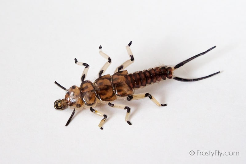 Realistic Stonefly Nymph