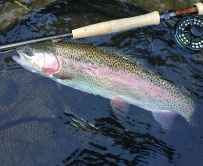 Playing with Hemingway's Stonefly Nymph Pattern materials. Buds and backs are colored with pink permanent marker