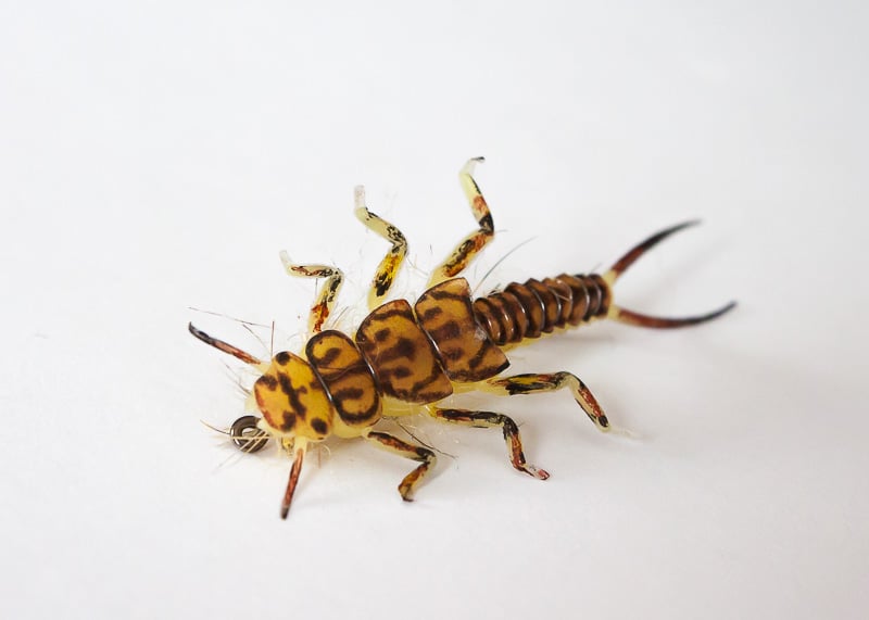 Hemingway's Realistic Stonefly