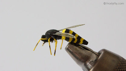 Realistic Wasp