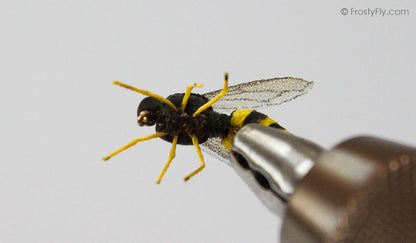Realistic Flies - Wasp / Honey Bee - Set of 6 Flies