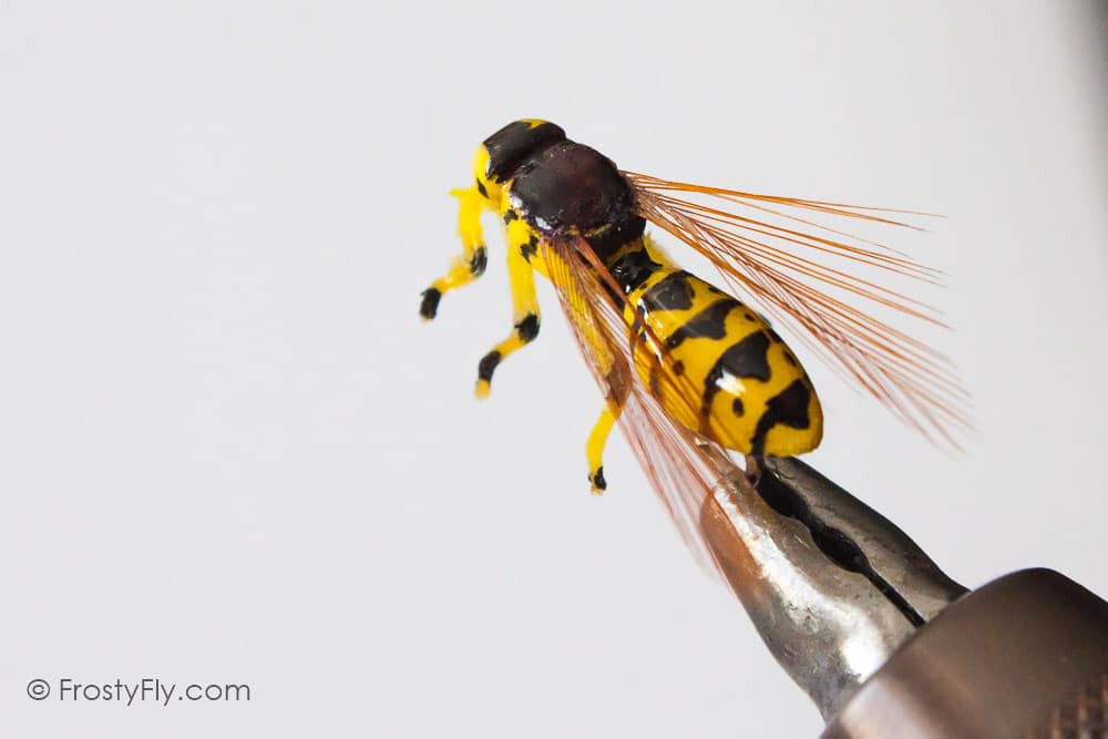 Realistic Wasp II