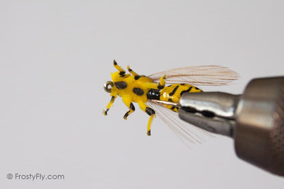 Realistic Wasp II