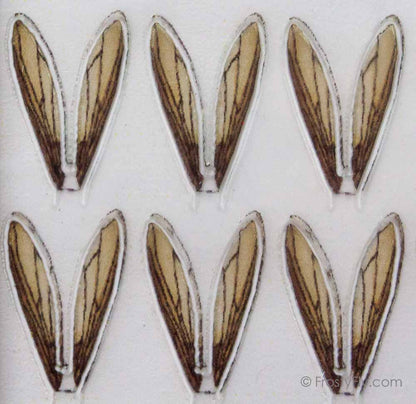 FrostyFly Realistic Wasp Wings