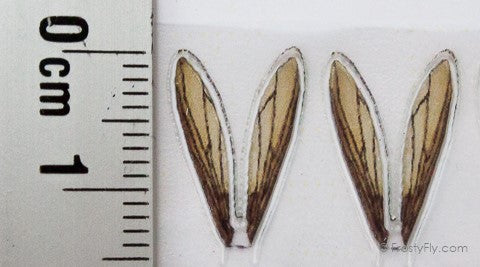 Realistic Wasp Wings