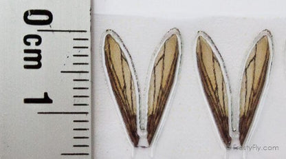 Realistic Wasp Wings