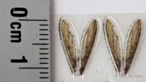 Realistic Wasp Wings