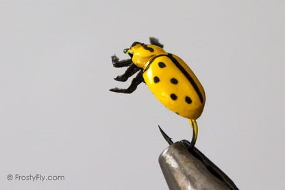 Realistic Yellow Ladybug Fly