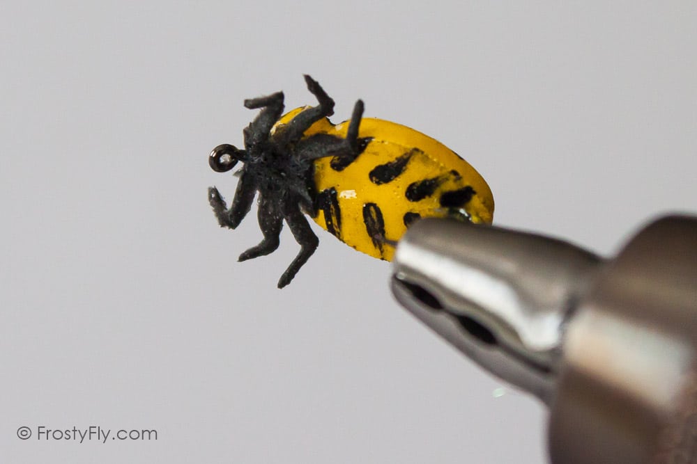 Realistic Yellow Ladybug Fly