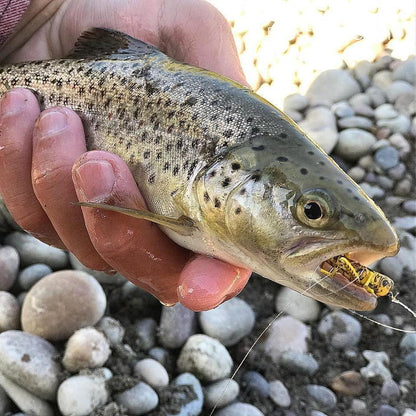 Realistic Hopper - Grasshopper