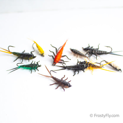 Realistic Flies - Upside Down Stonefly Nymph Selection of 10 Flies - Assorted