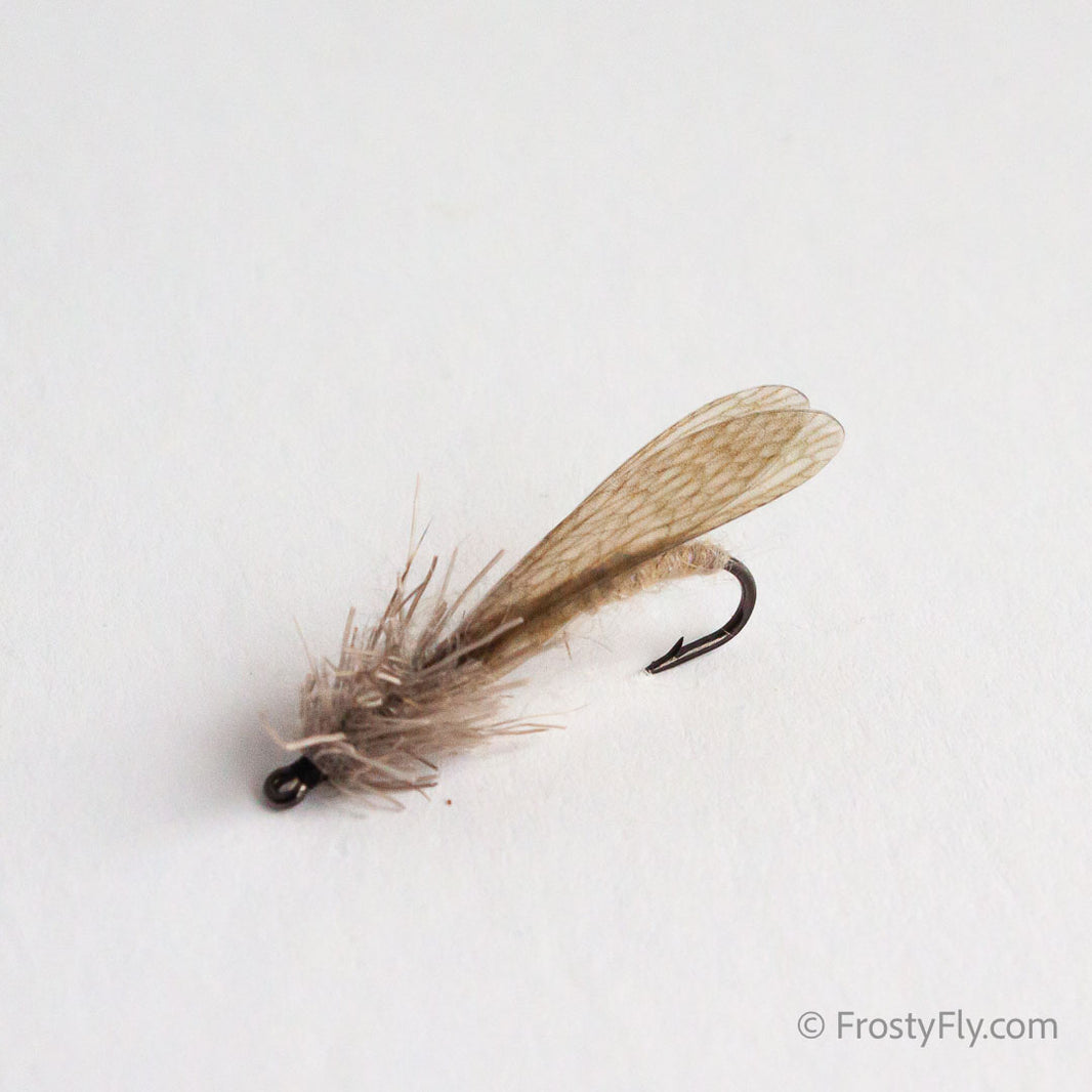 Realistic Dry Flies | Lifelike Mayfly, Caddis & Stonefly Patterns ...