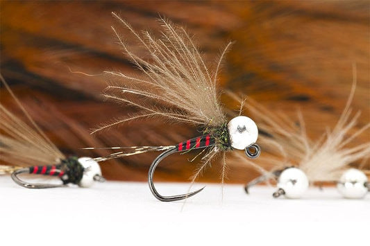 Grayling on Red Zebra Jig Nymph