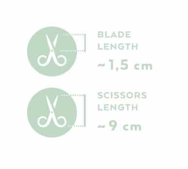 Renomed FS2 Small Curved Scissors 9cm