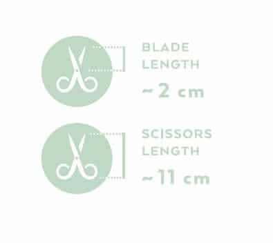 Renomed FS3 Medium Straight Scissors 11cm