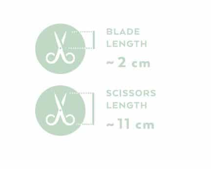 Renomed FS4 Medium Curved Scissors 11cm